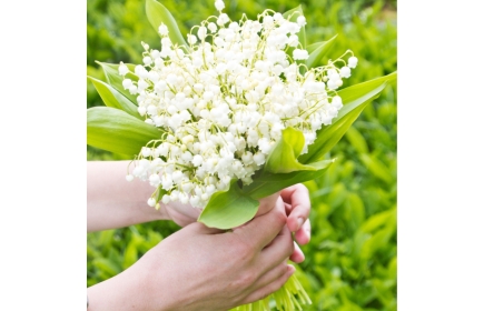 Un brin de muguet pour nos ainés et le personnel soignant des EHPADs de Divonne et de Gex